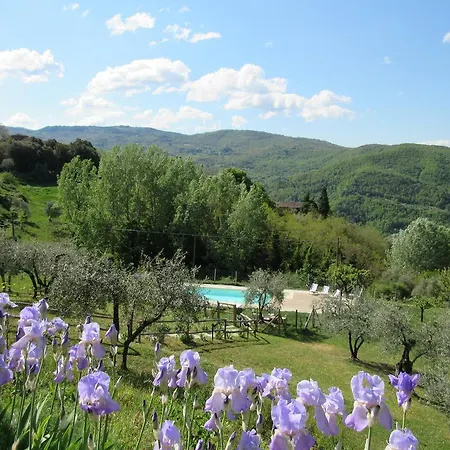 بيت للعطل Casa Conti Rufina